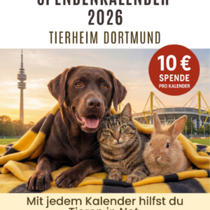 Spendenkalender Tierheim